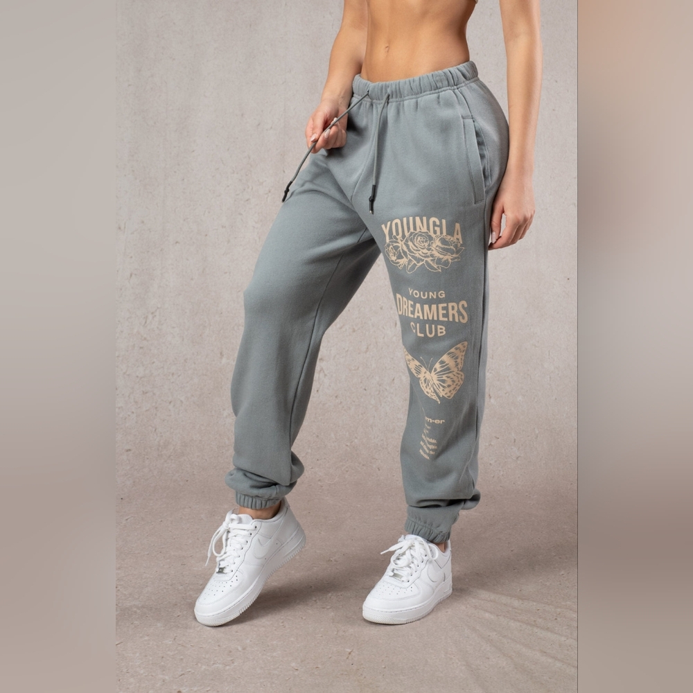 🌸 YoungLA | W211 Dreamers Joggers - Slate